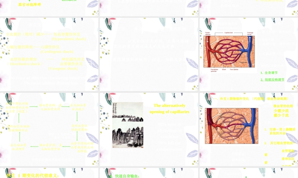 2023年制休克第六版I（教学课件）.ppt