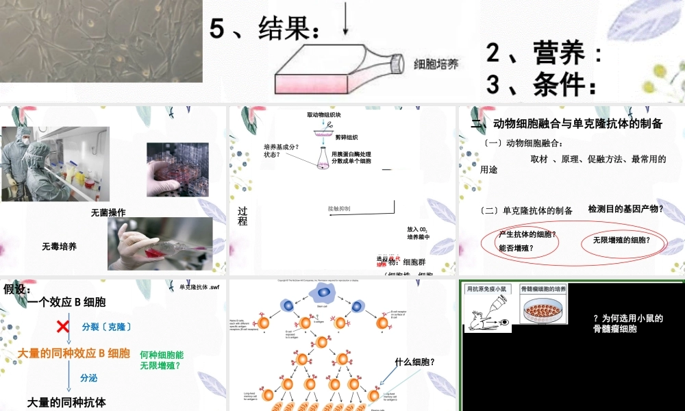 2023年动物细胞工程（教学课件）.ppt