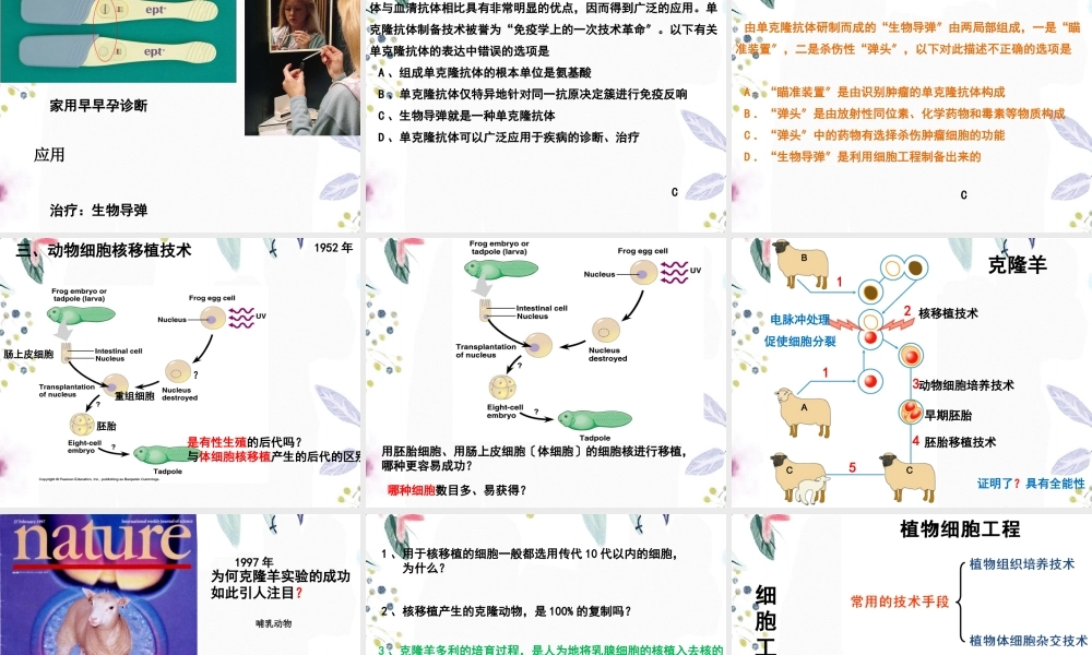 2023年动物细胞工程（教学课件）.ppt