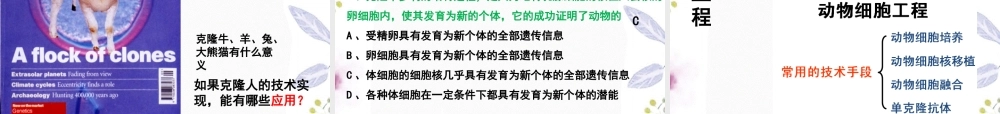 2023年动物细胞工程（教学课件）.ppt