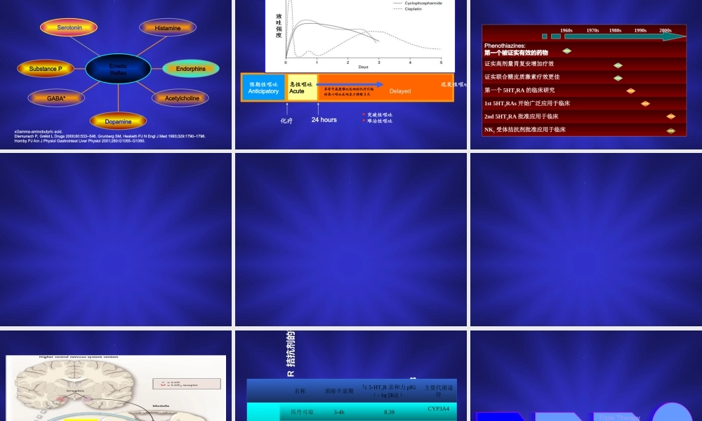 2023年化疗毒性消化道（教学课件）.ppt