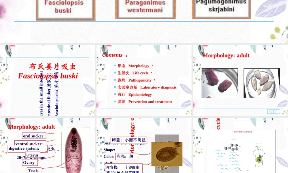 2023年周姜片虫并殖吸虫（教学课件）.ppt