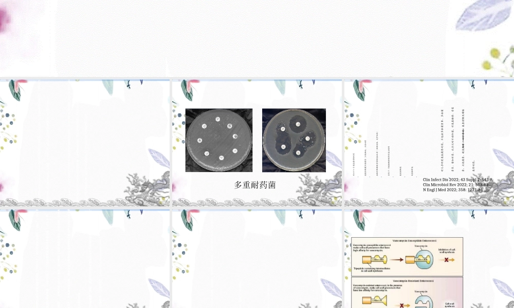 2023年多重耐药菌感染流行趋势（教学课件）.ppt