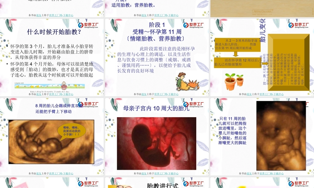 2023年天胎教进行式（教学课件）.ppt