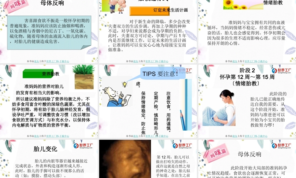 2023年天胎教进行式（教学课件）.ppt