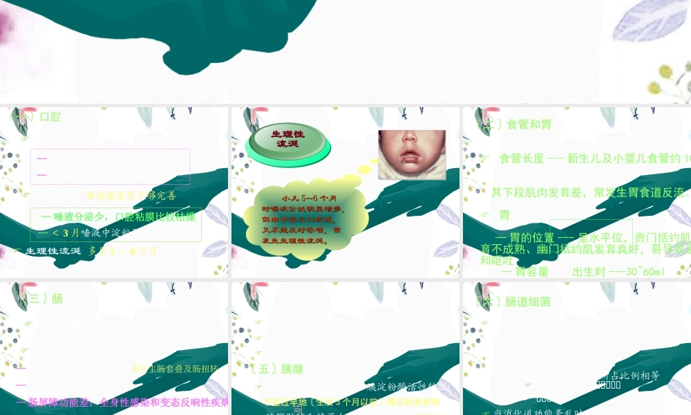 2023年小儿消化系统解剖生理特点口炎的护理（教学课件）.ppt