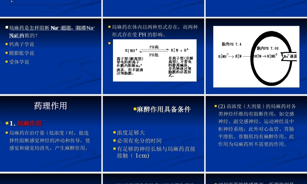 2023年局麻药（教学课件）.ppt