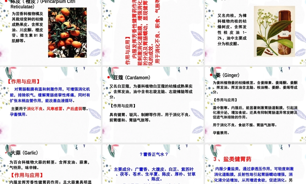 2023年作用于消化系统的药物（教学课件）.ppt