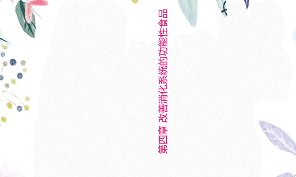 2023年改善消化系统的功能性食品（教学课件）.ppt