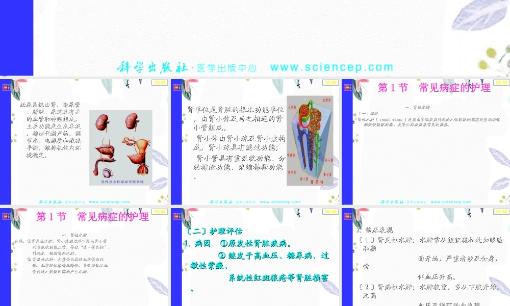 2023年泌尿《内科护理学》（教学课件）.ppt