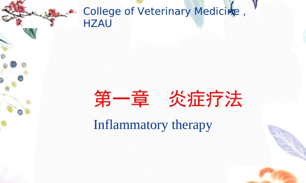 2023年第一 炎症疗法（教学课件）.ppt