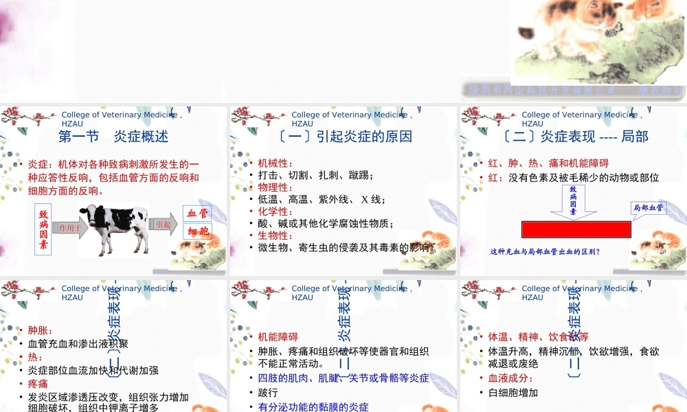 2023年第一 炎症疗法（教学课件）.ppt