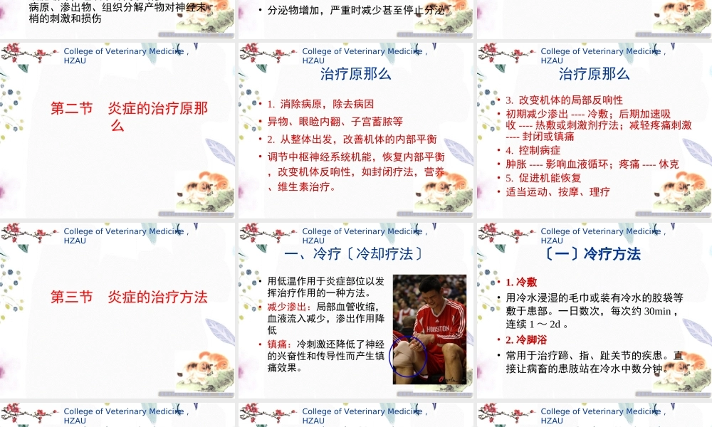 2023年第一 炎症疗法（教学课件）.ppt