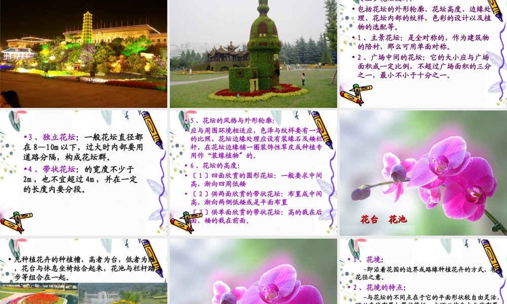 2023年第四节花卉的种植设计（教学课件）.ppt
