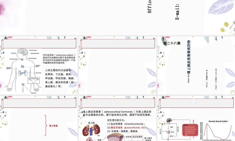 2023年肾上腺皮质激素类药物（教学课件）.ppt