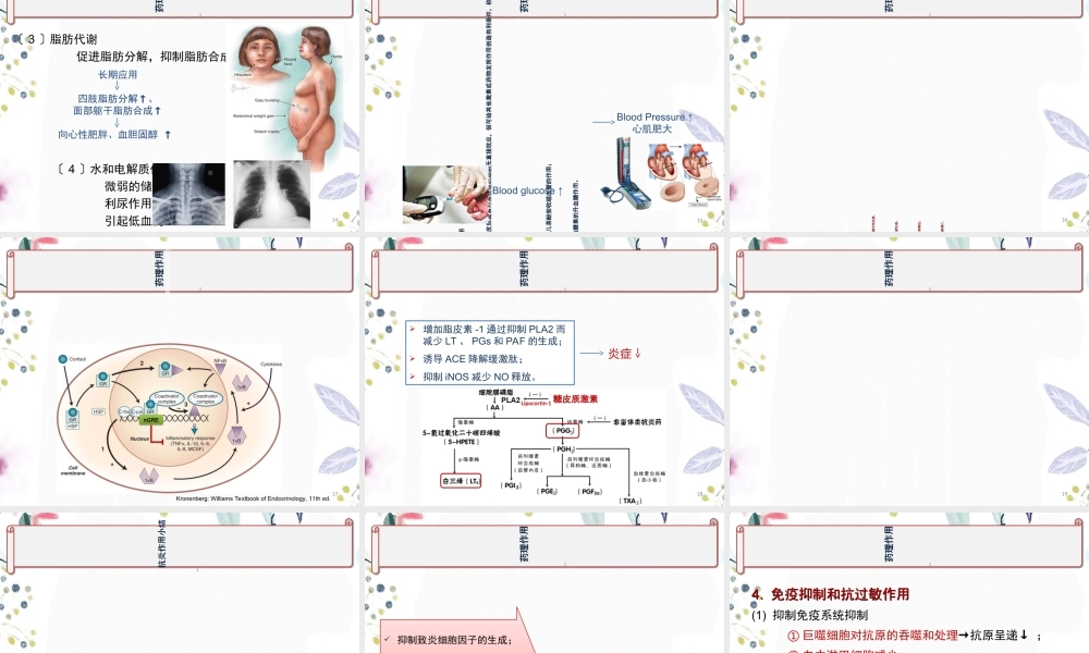 2023年肾上腺皮质激素类药物（教学课件）.ppt