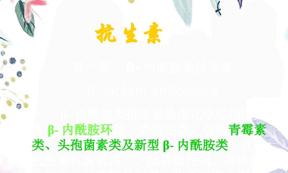 2023年青霉素及头孢（教学课件）.ppt
