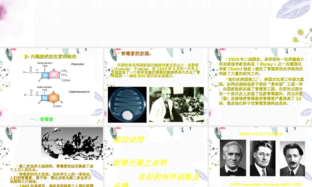 2023年青霉素及头孢（教学课件）.ppt