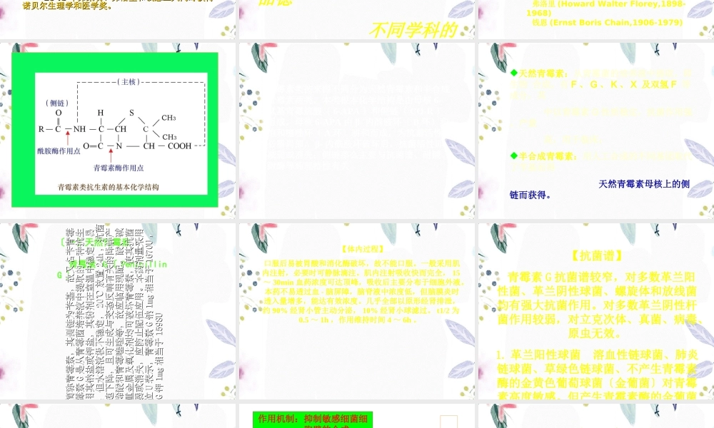 2023年青霉素及头孢（教学课件）.ppt