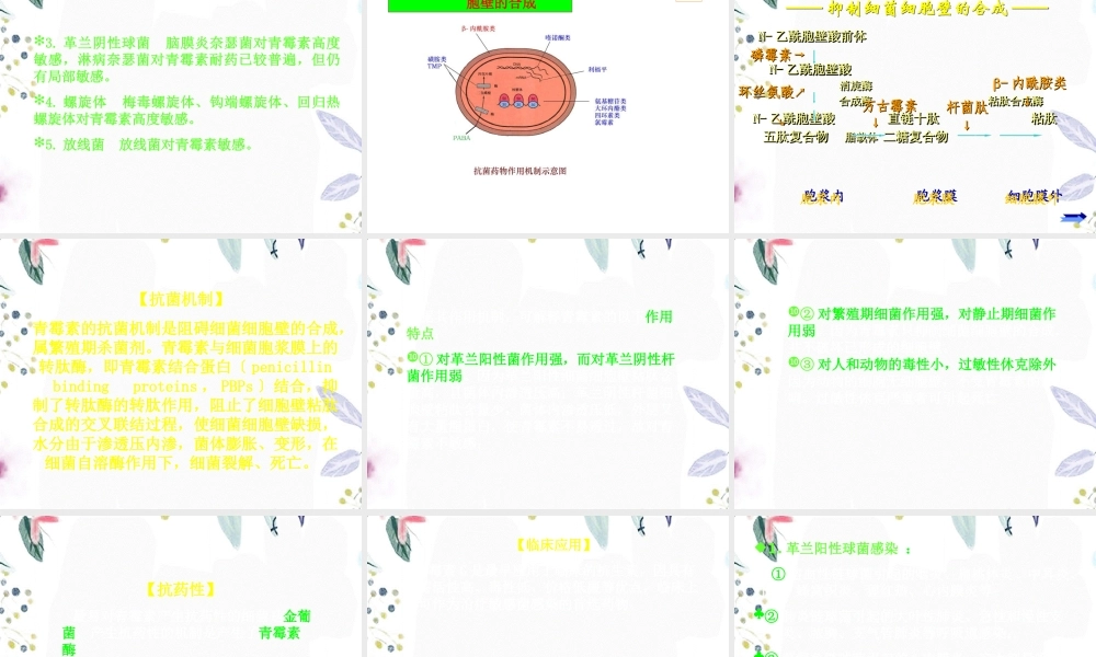 2023年青霉素及头孢（教学课件）.ppt