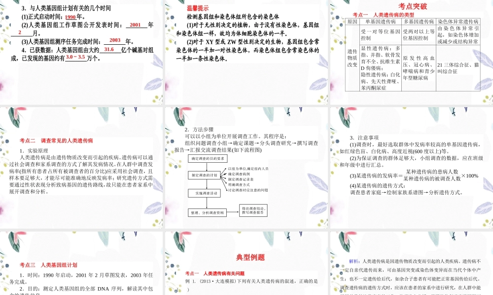 2023年高考一轮复习人类遗传病（教学课件）.ppt