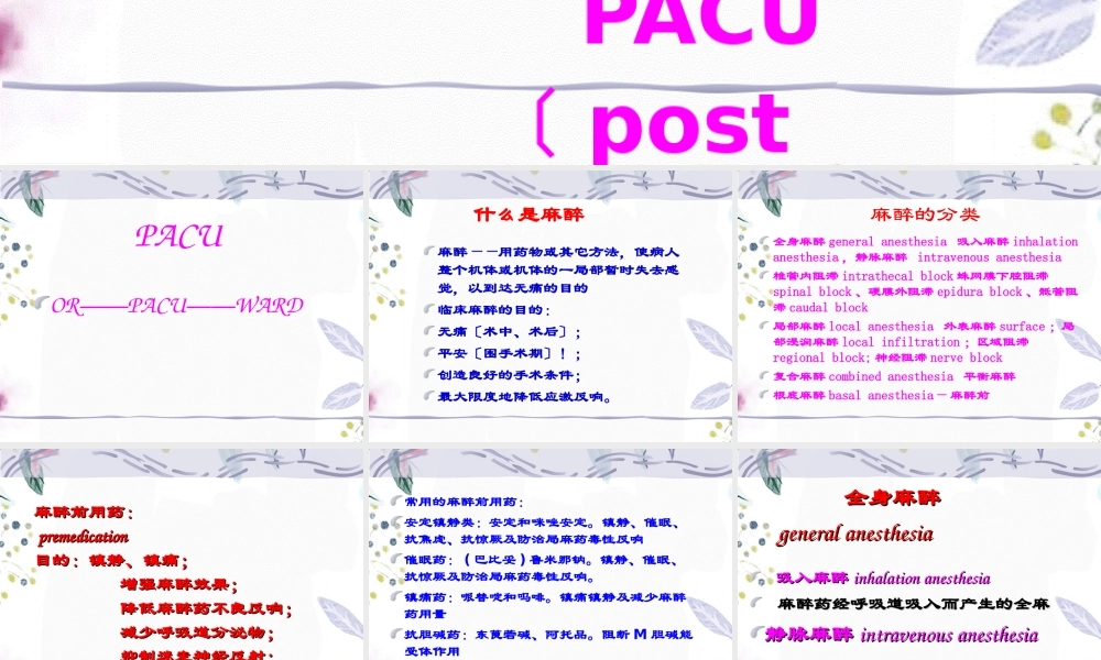 2023年麻醉护理（教学课件）.ppt