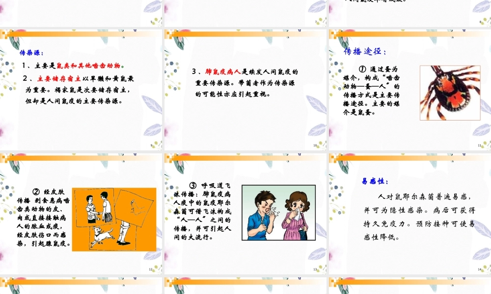 2023年鼠疫（教学课件）.ppt