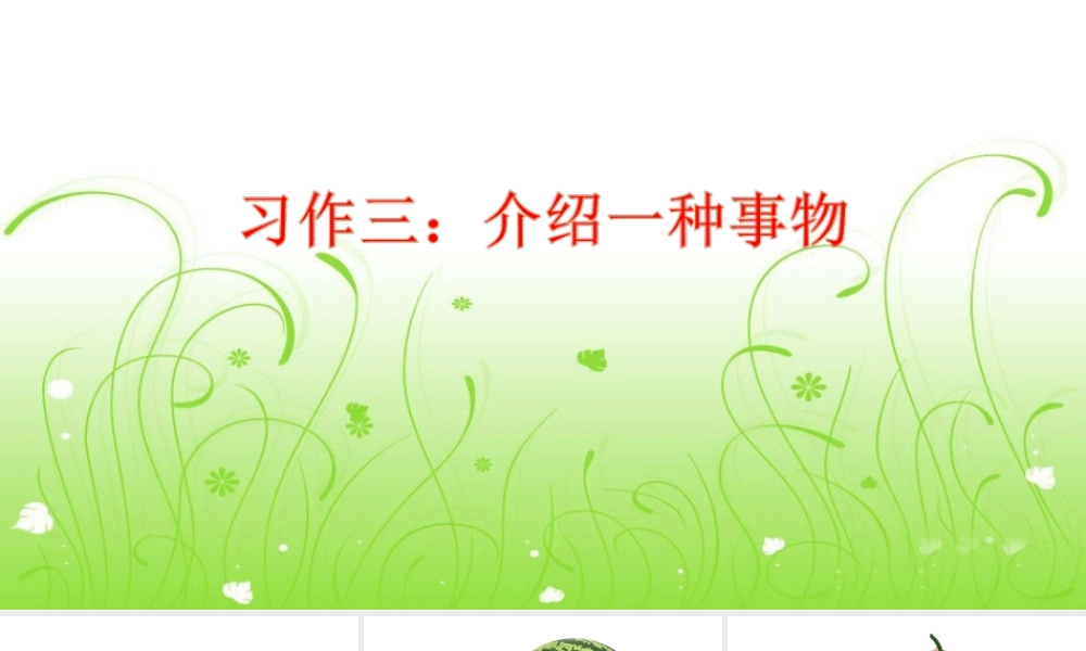 5第五单元习作介绍一种事物2.ppt