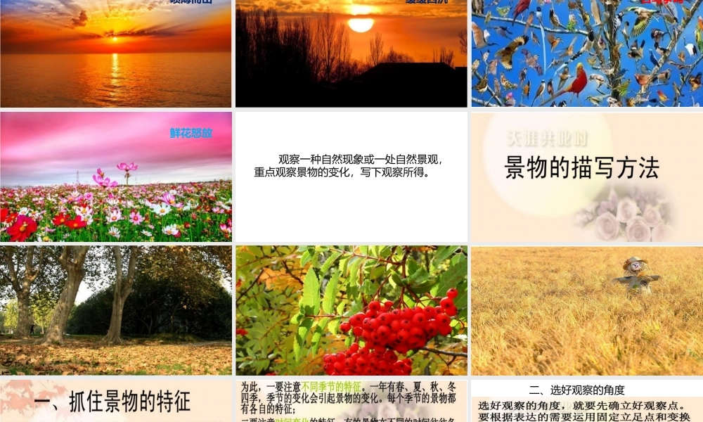 7第七单元习作 即景.pptx