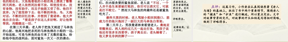 范文2：《老人与海》梗概.pptx