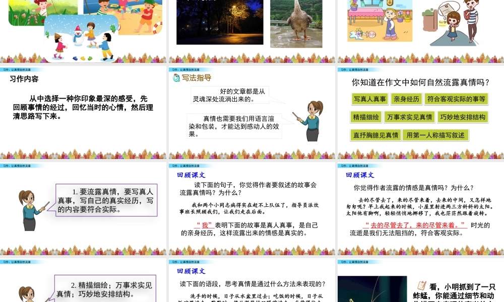 习作：让真情自然流露.pptx