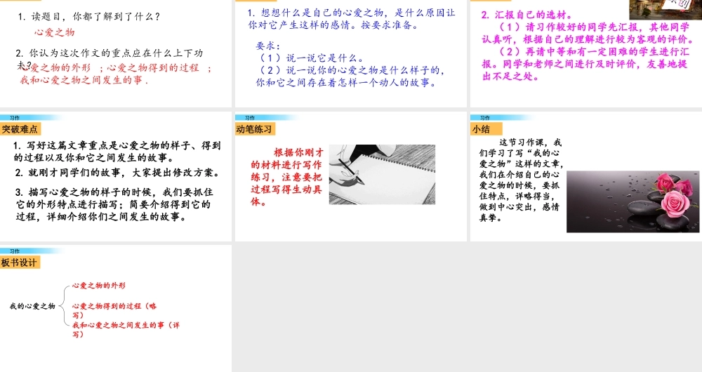 习作：我的心爱之物.pptx