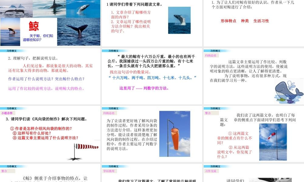 习作例文(2).pptx