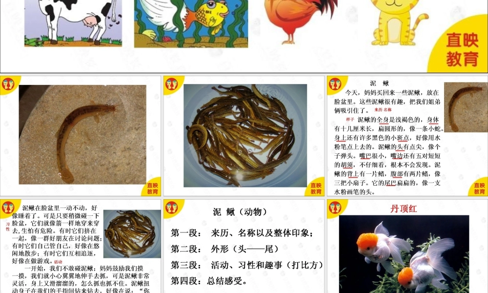 作文方法一：第4课.ppt