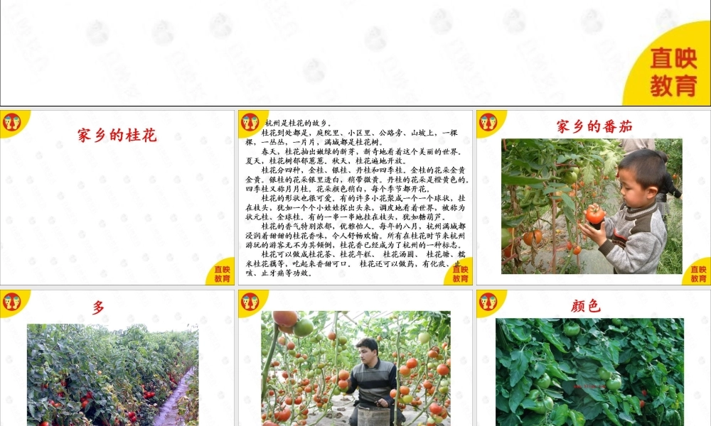 作文综合篇：第11课.ppt