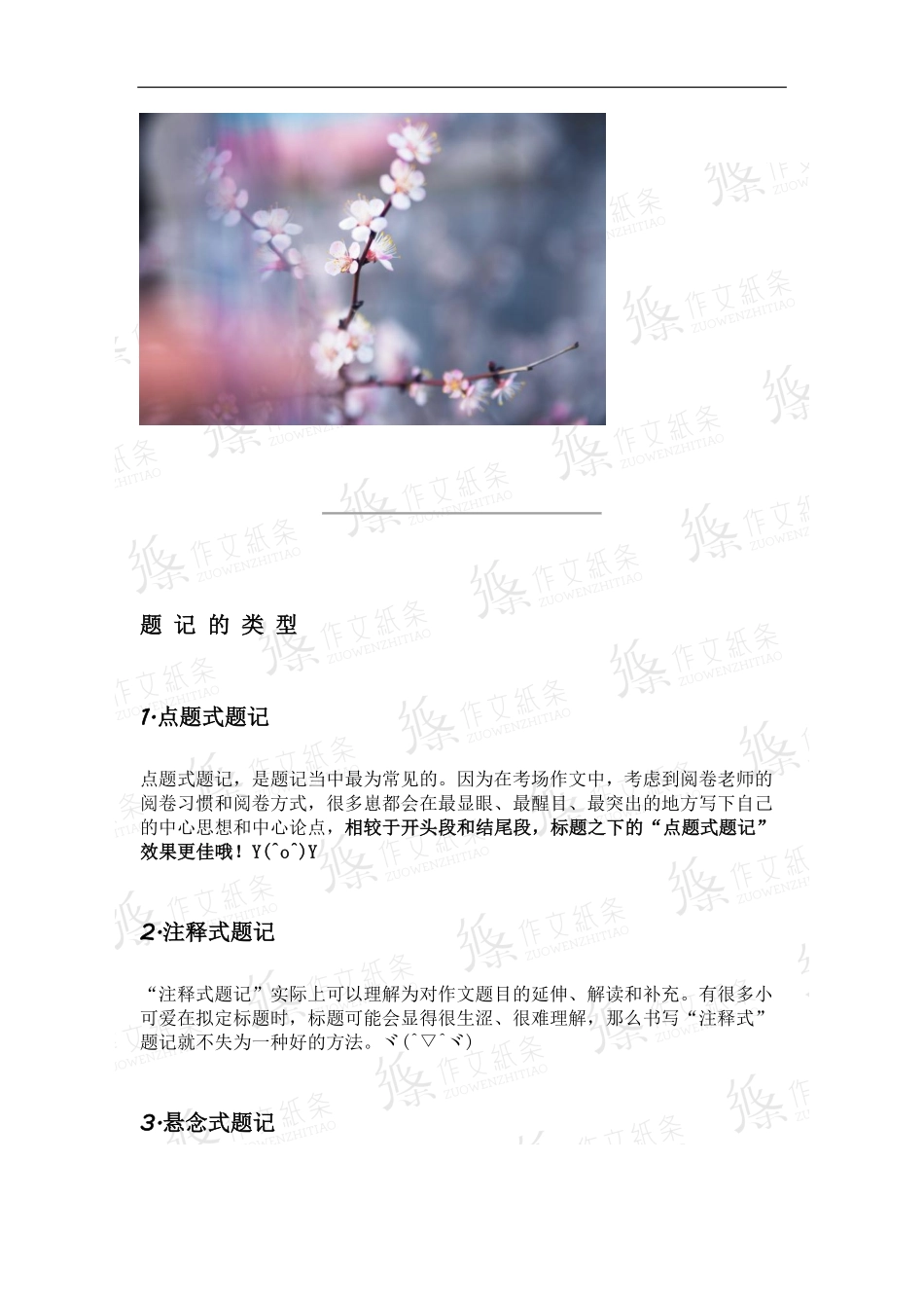 高中作文技法之【题记制作】.pdf_第2页