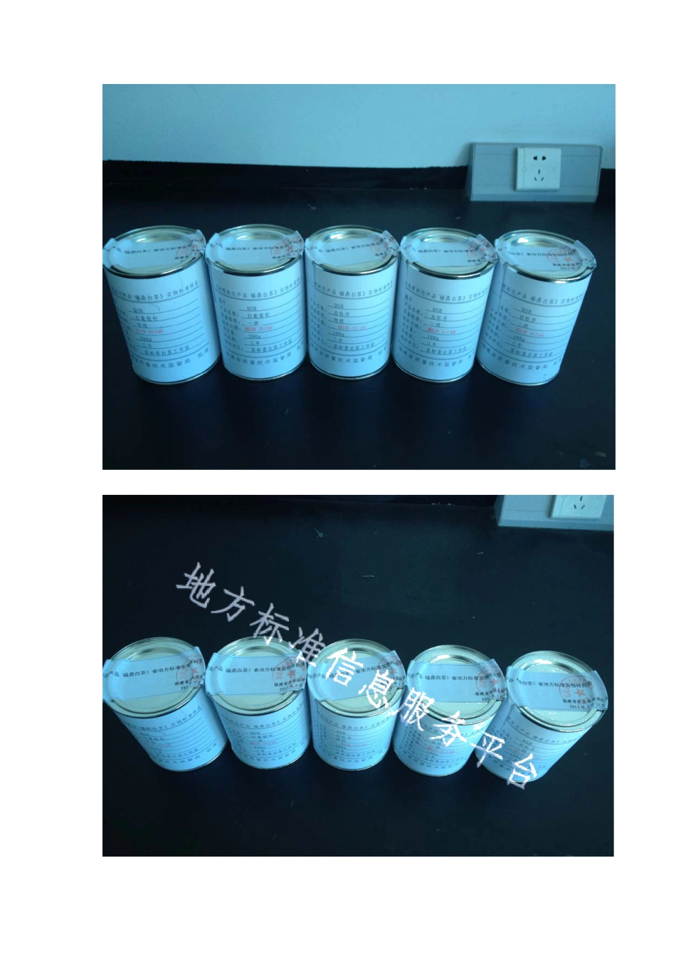 DB35T 1363-2013地理标产品 福鼎白茶实物标准样.pdf_第1页