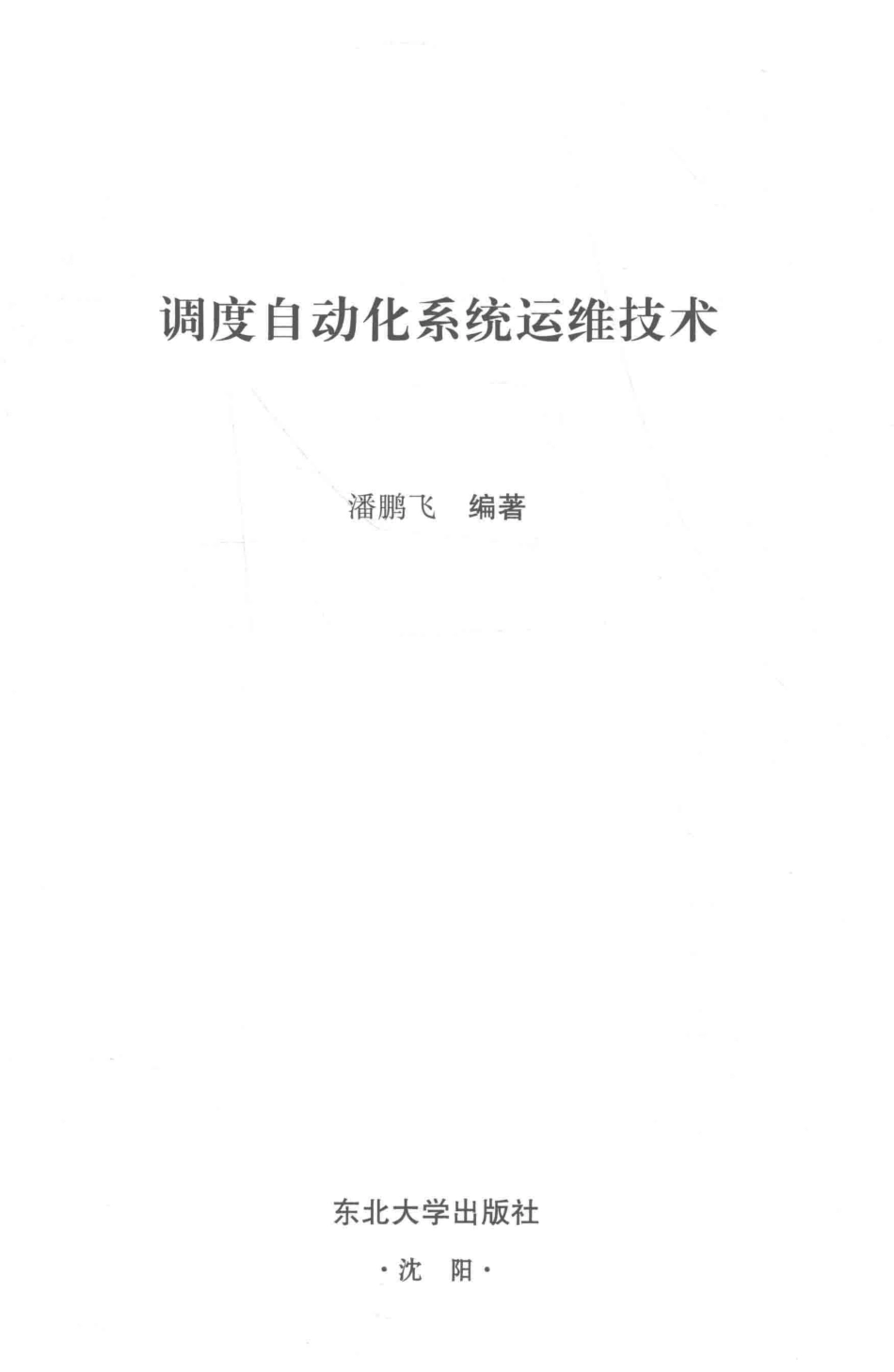 调度自动化系统运维技术 潘鹏飞 编著 2018年版.pdf_第2页