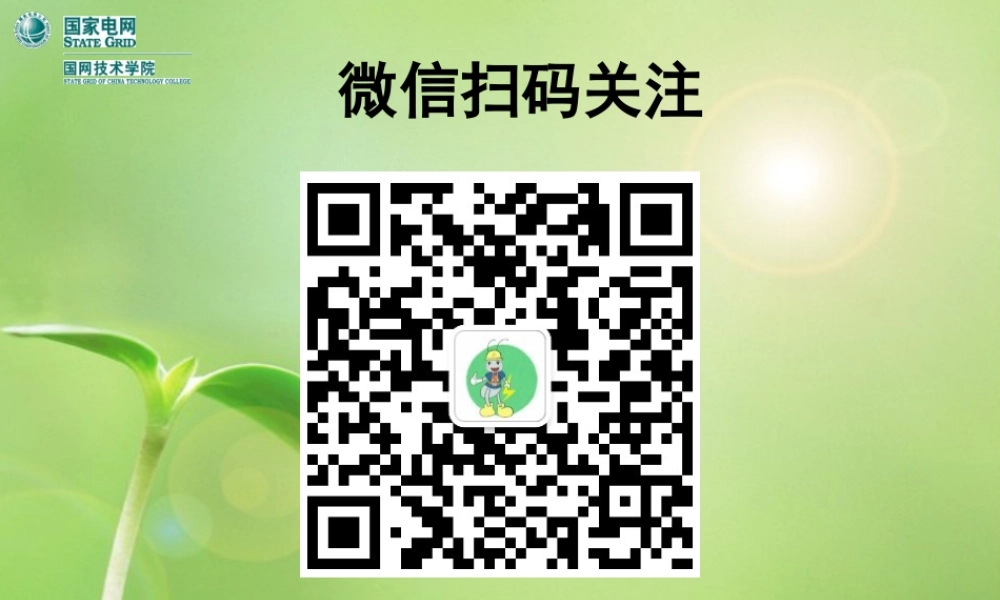 国家电网 电气试验分类与项目 课件.ppt