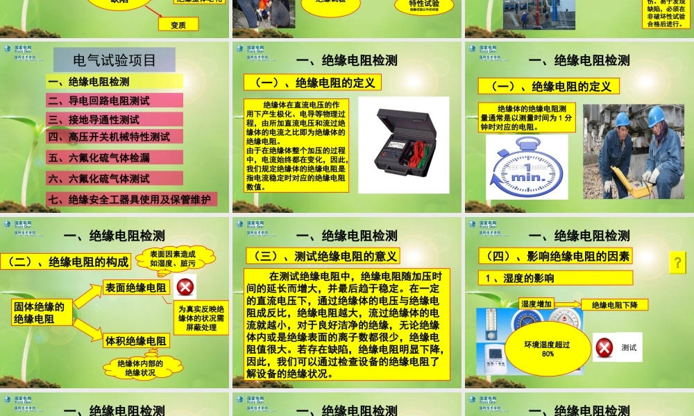 国家电网 电气试验分类与项目 课件.ppt