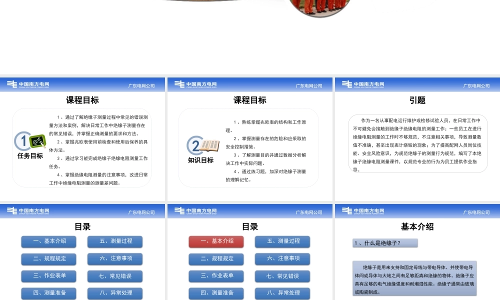 南方电网 绝缘子绝缘电阻测量技术培训课件.pptx