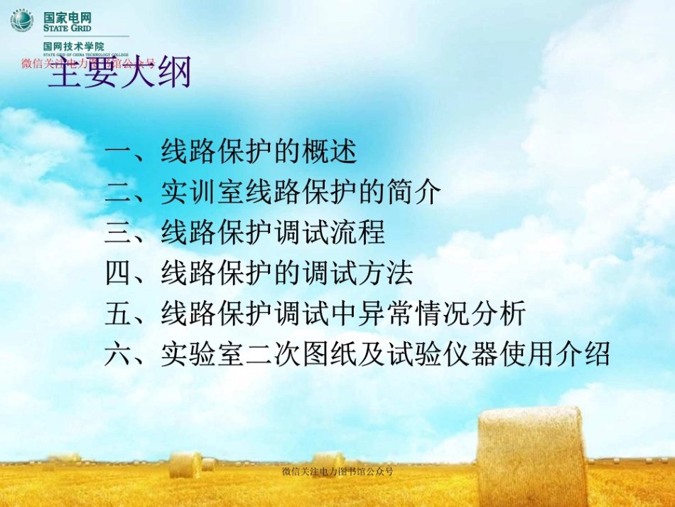 国家电网 线路保护的调试方法培训课件.pdf_第2页