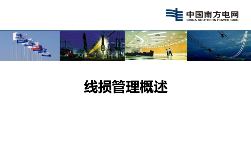 线损管理概述.pptx