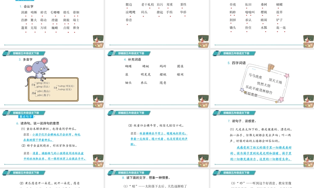 部编版五年级下册语文期末总复习.pptx