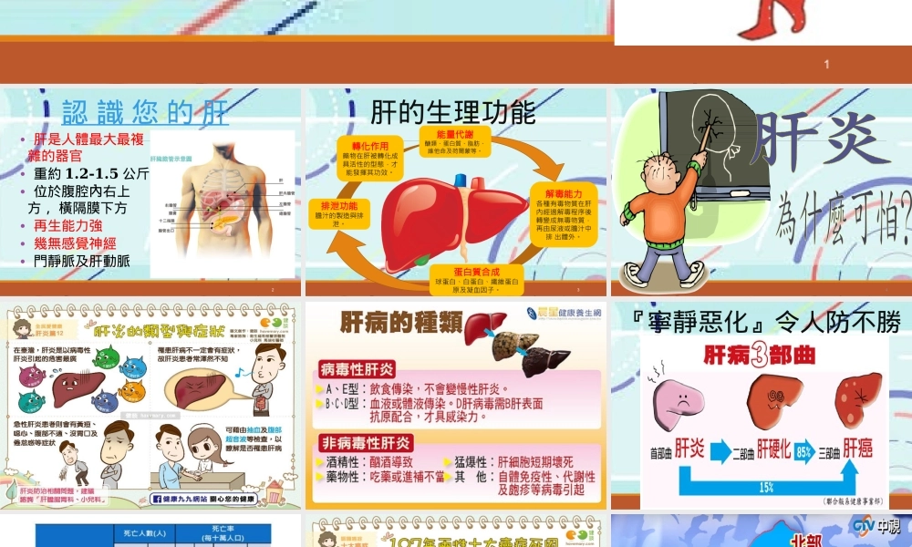 B型肝炎防治.pptx