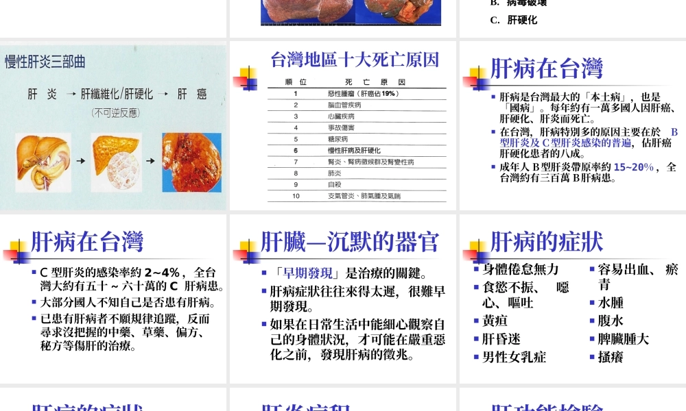 病毒性肝炎.ppt