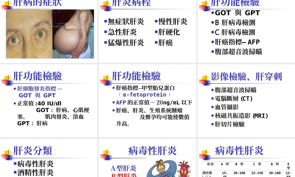 病毒性肝炎.ppt