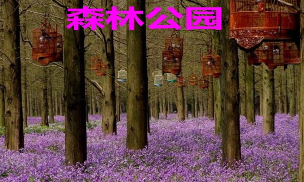 二年级保护耳朵好.pptx