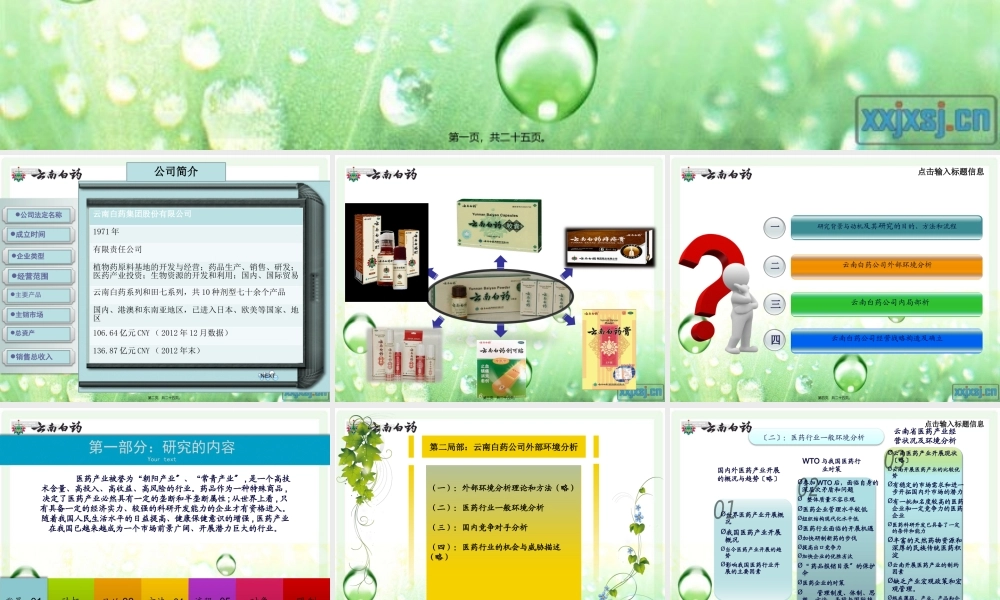 云南白药案例分析动态PPT.pptx