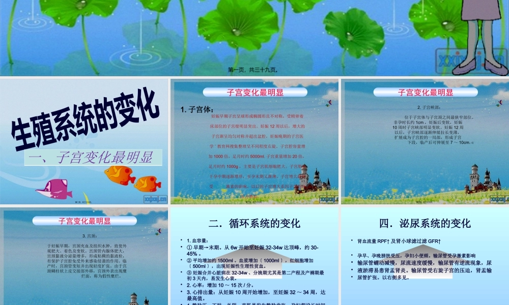 产前、产后的基本生理.pptx